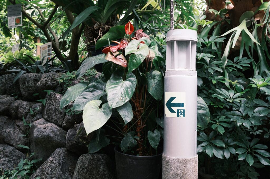 カメラはFujifilm X-M5、レンズはXF16-50mmF2.8-4.8 R LM WRで撮影した写真。毎度よくわからないけど撮ってしまう案内ポール。この矢印と人のマークがなんとも言えない良い味をだしてくれます。
