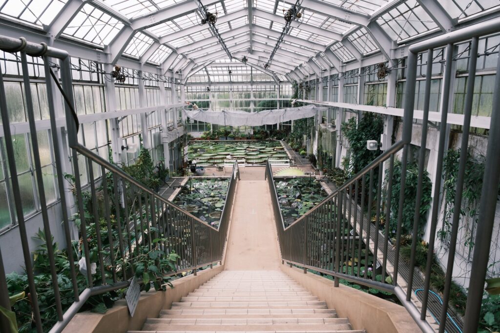 カメラはFujifilm X-M5、レンズはXF16-50mmF2.8-4.8 R LM WRで撮影した写真。こちらは水性植物の温室。