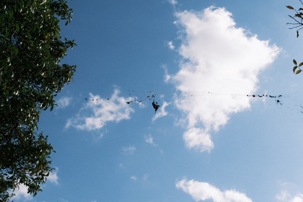 カメラはFujifilm X-M5、レンズはXF16-50mmF2.8-4.8 R LM WRで撮影した写真。