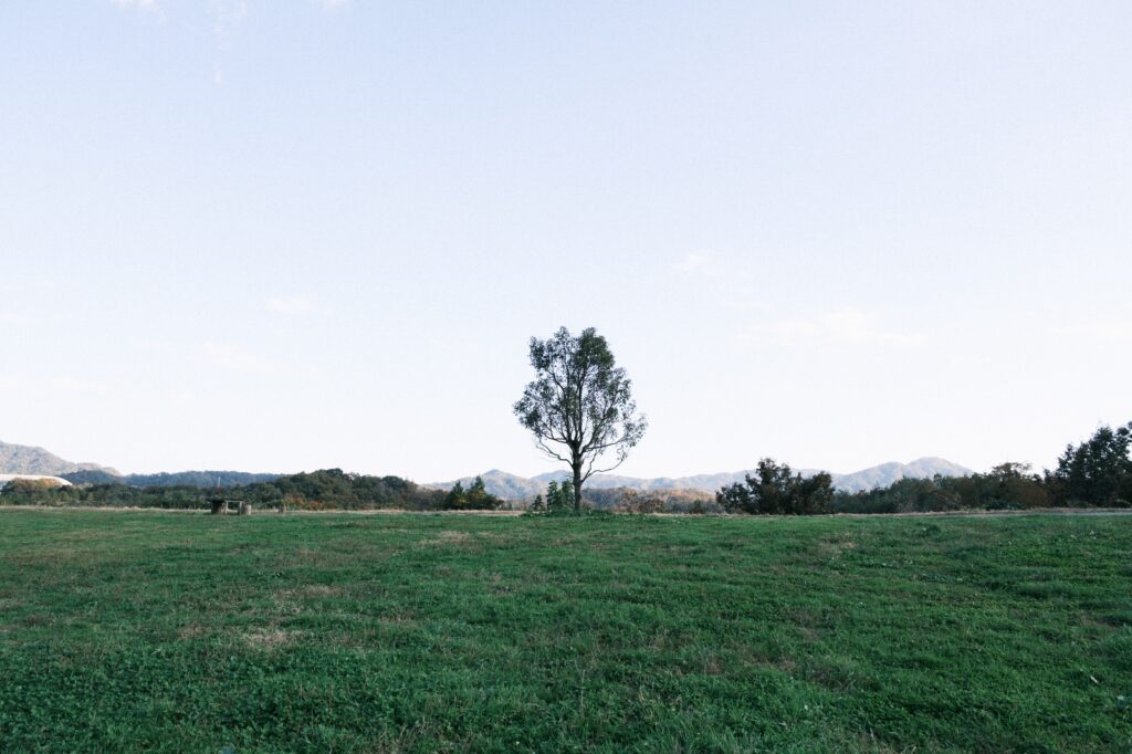 カメラはFujifilm X-M5、レンズはXF16-50mmF2.8-4.8 R LM WRで撮影した写真。