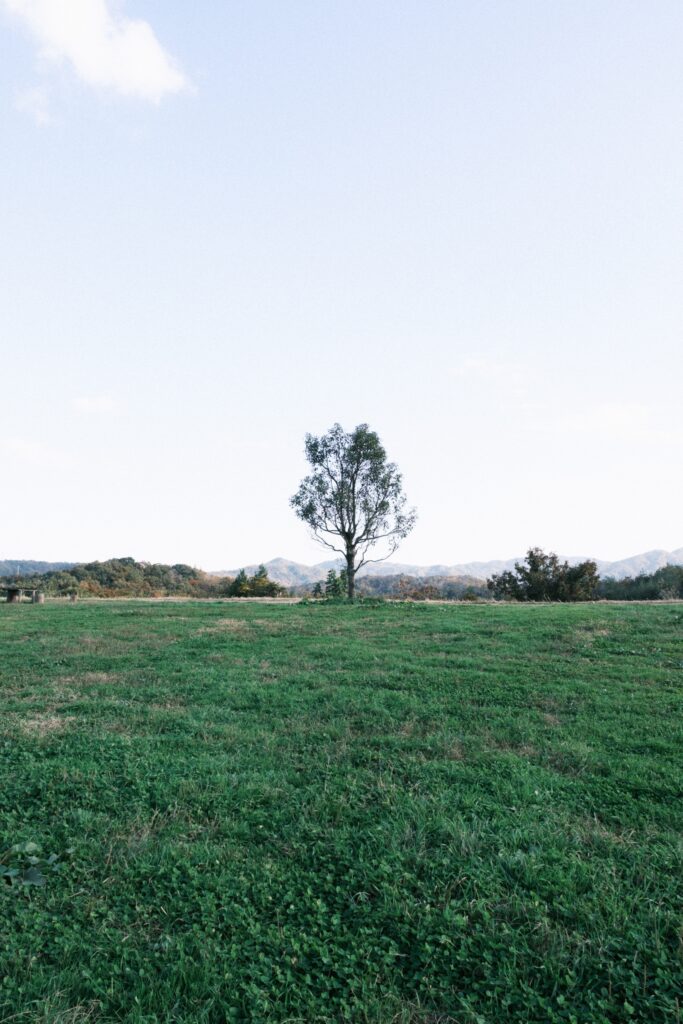 カメラはFujifilm X-M5、レンズはXF16-50mmF2.8-4.8 R LM WRで撮影した写真。