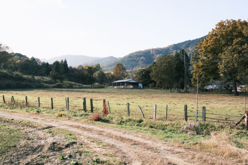 カメラはFujifilm X-M5、レンズはXF16-50mmF2.8-4.8 R LM WRで撮影した写真。