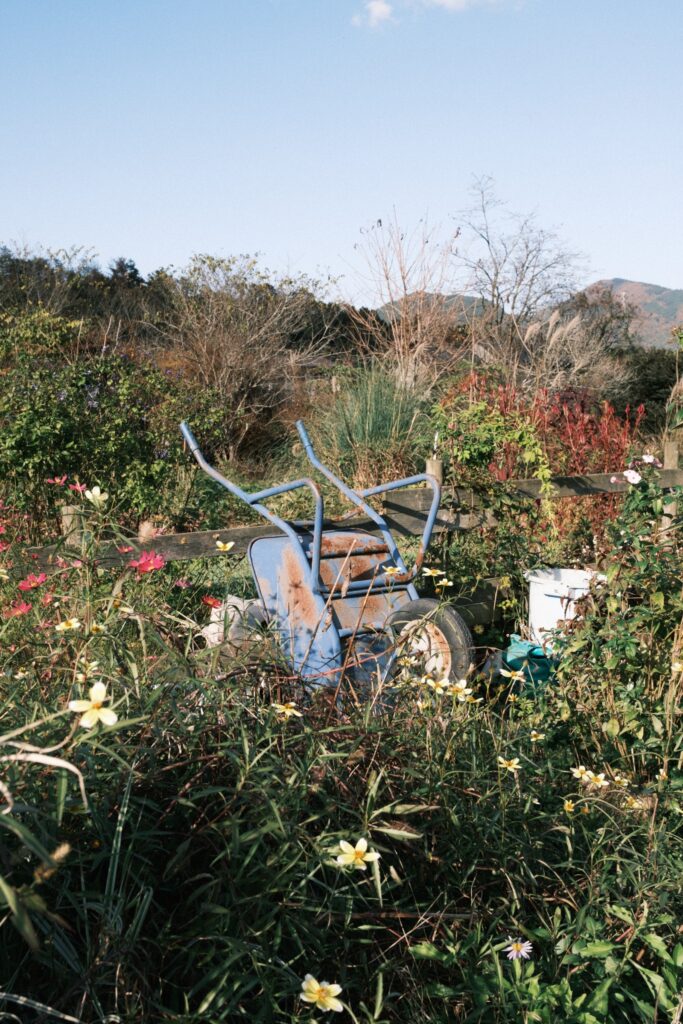 カメラはFujifilm X-M5、レンズはXF16-50mmF2.8-4.8 R LM WRで撮影した写真。