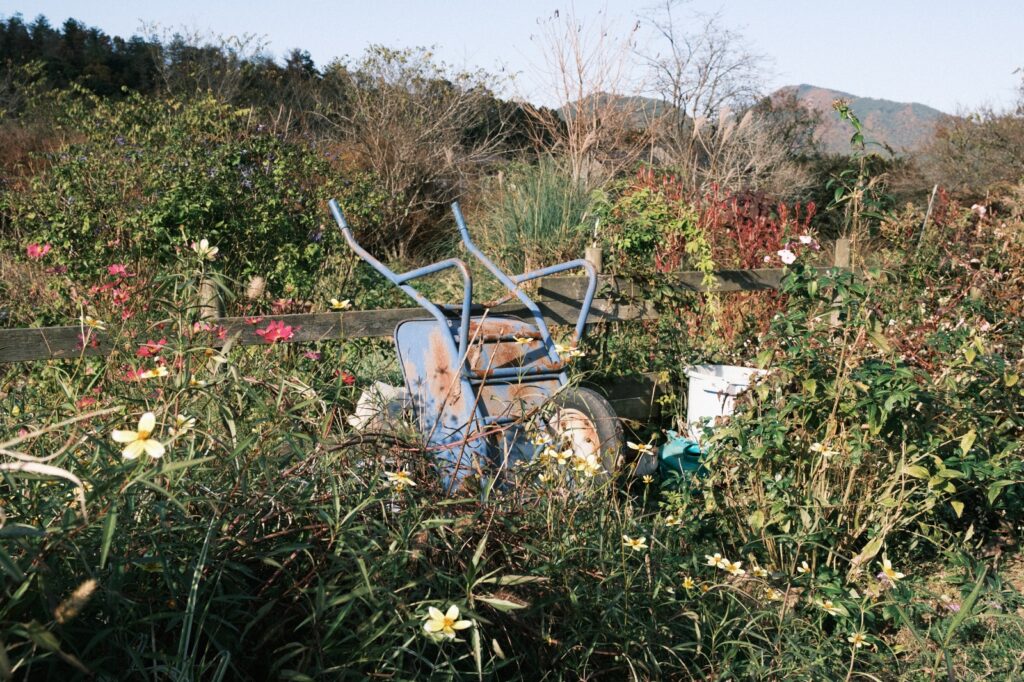 カメラはFujifilm X-M5、レンズはXF16-50mmF2.8-4.8 R LM WRで撮影した写真。