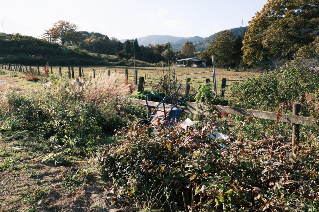 カメラはFujifilm X-M5、レンズはXF16-50mmF2.8-4.8 R LM WRで撮影した写真。