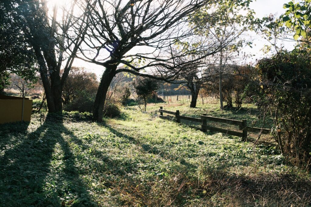 カメラはFujifilm X-M5、レンズはXF16-50mmF2.8-4.8 R LM WRで撮影した写真。