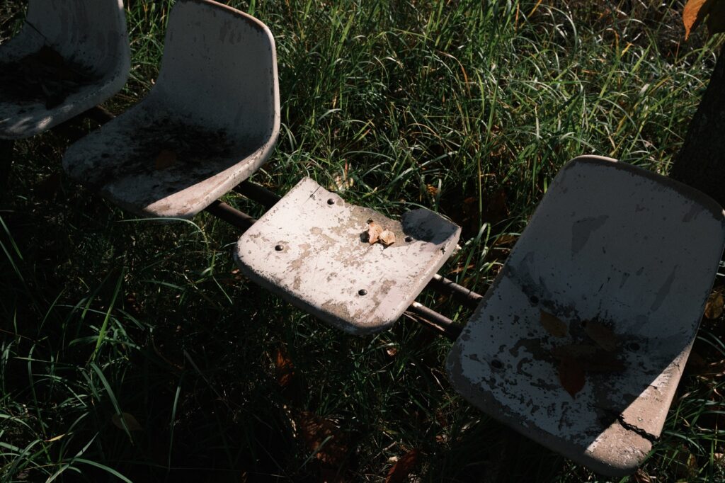 カメラはFujifilm X-M5、レンズはXF16-50mmF2.8-4.8 R LM WRで撮影した写真。