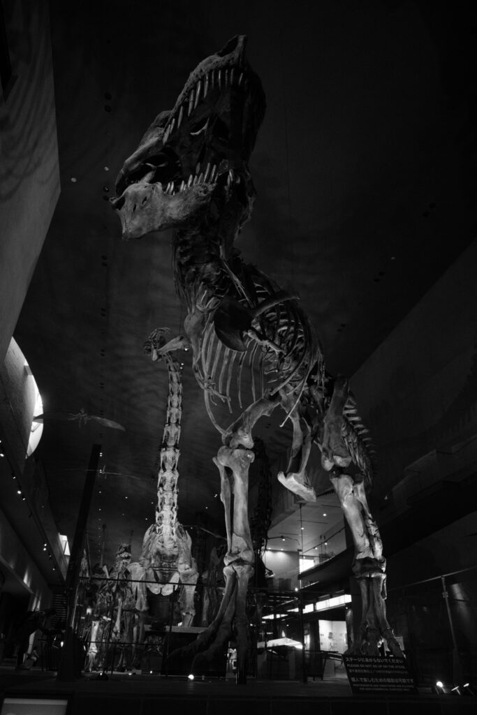 カメラはFujifilm X-M5、レンズはXF16-50mmF2.8-4.8 R LM WRで撮影した写真。