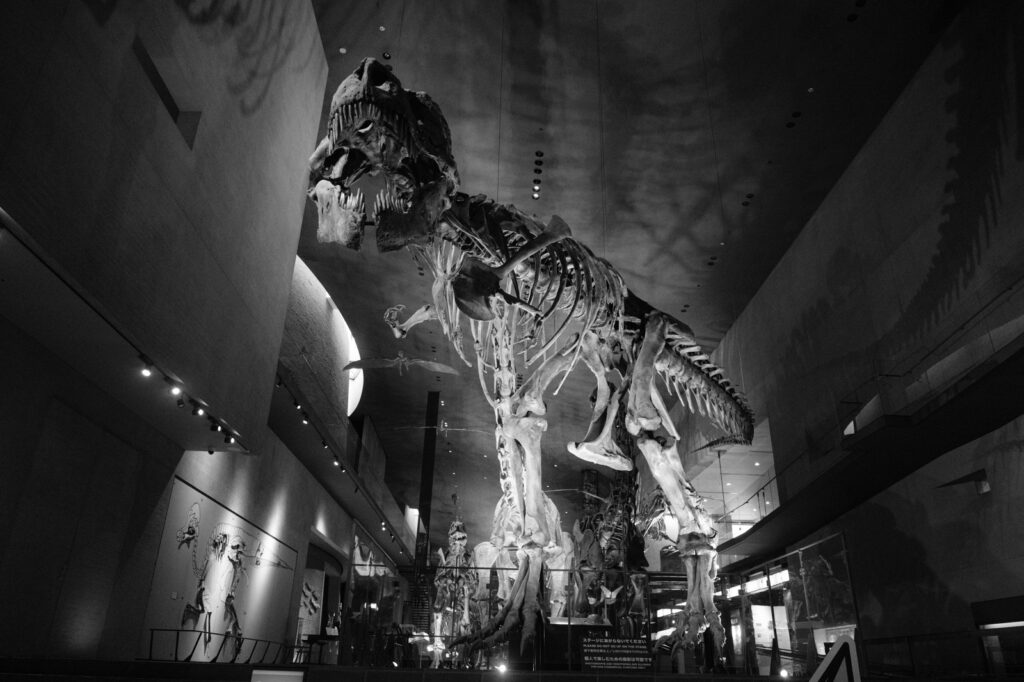 カメラはFujifilm X-M5、レンズはXF16-50mmF2.8-4.8 R LM WRで撮影した写真。