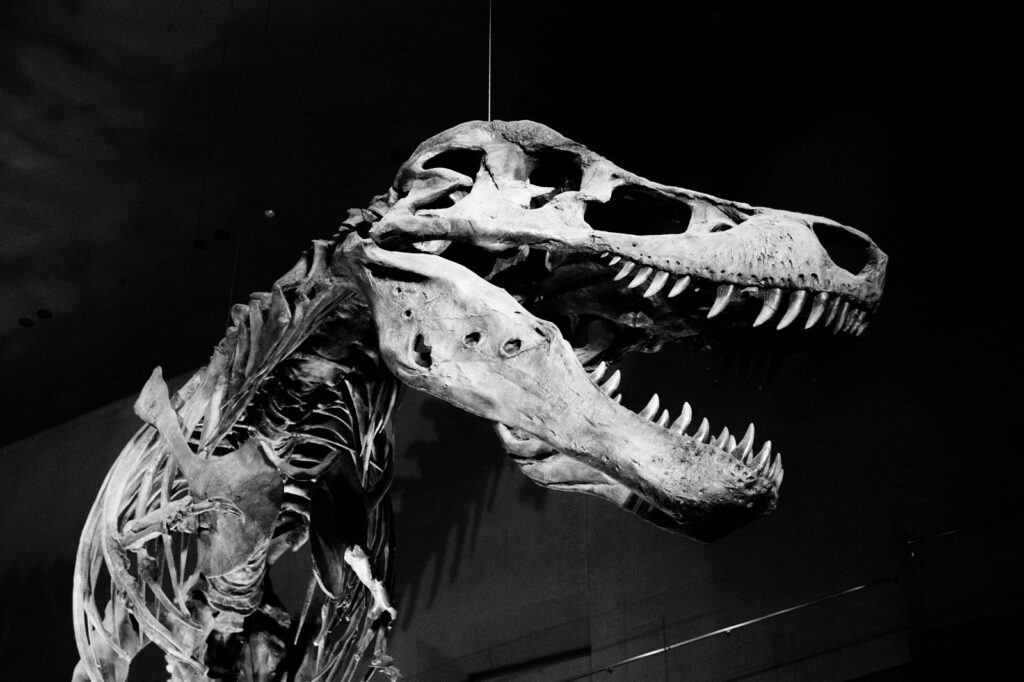 カメラはFujifilm X-M5、レンズはXF16-50mmF2.8-4.8 R LM WRで撮影した写真。