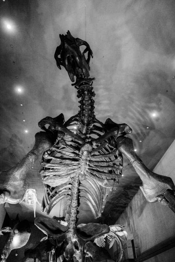 カメラはFujifilm X-M5、レンズはXF16-50mmF2.8-4.8 R LM WRで撮影した写真。