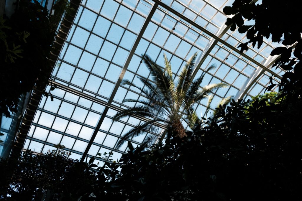 カメラはFujifilm X-M5、レンズはXF16-50mmF2.8-4.8 R LM WRで撮影した写真。