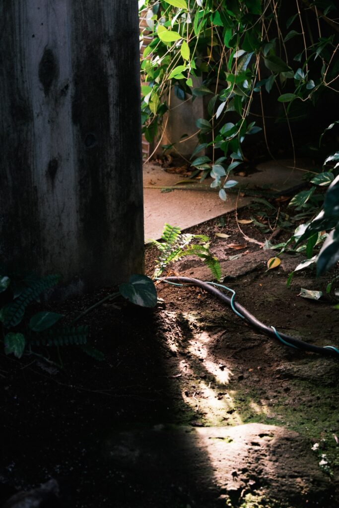 カメラはFujifilm X-M5、レンズはXF16-50mmF2.8-4.8 R LM WRで撮影した写真。