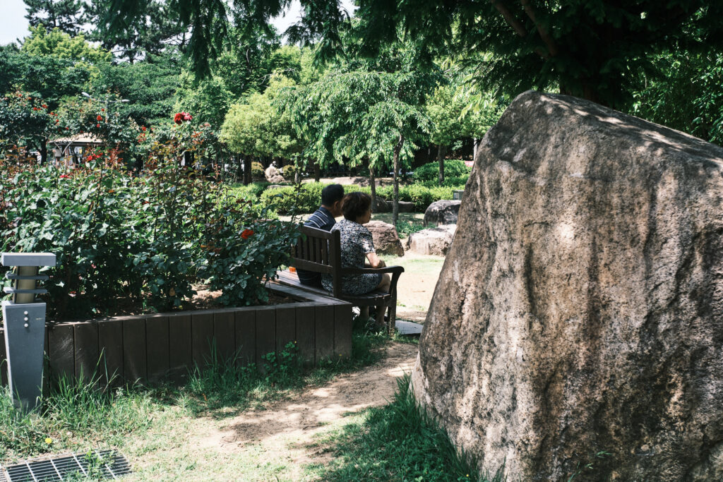 韓国の公園のベンチに座っていたシニア夫婦