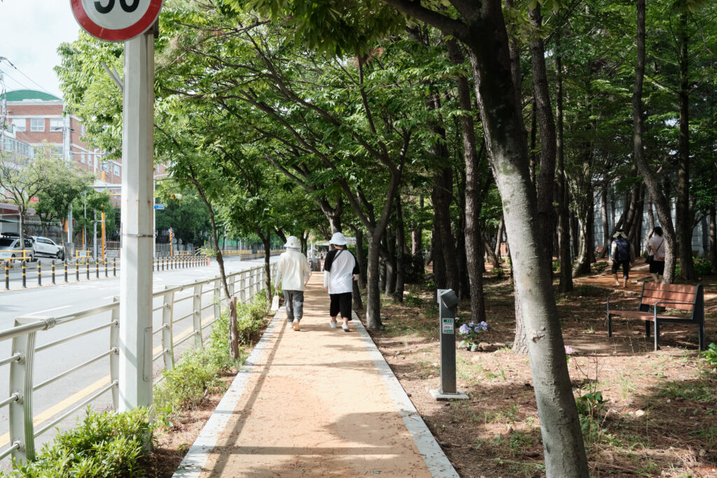 韓国人の散歩