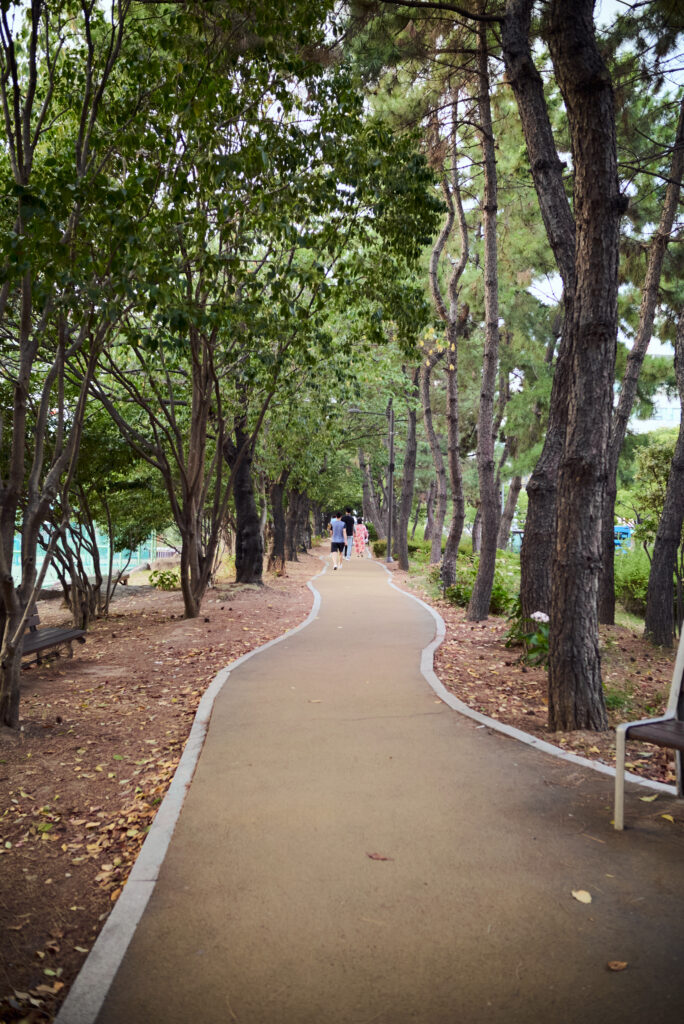 公園を歩く人の後ろ姿