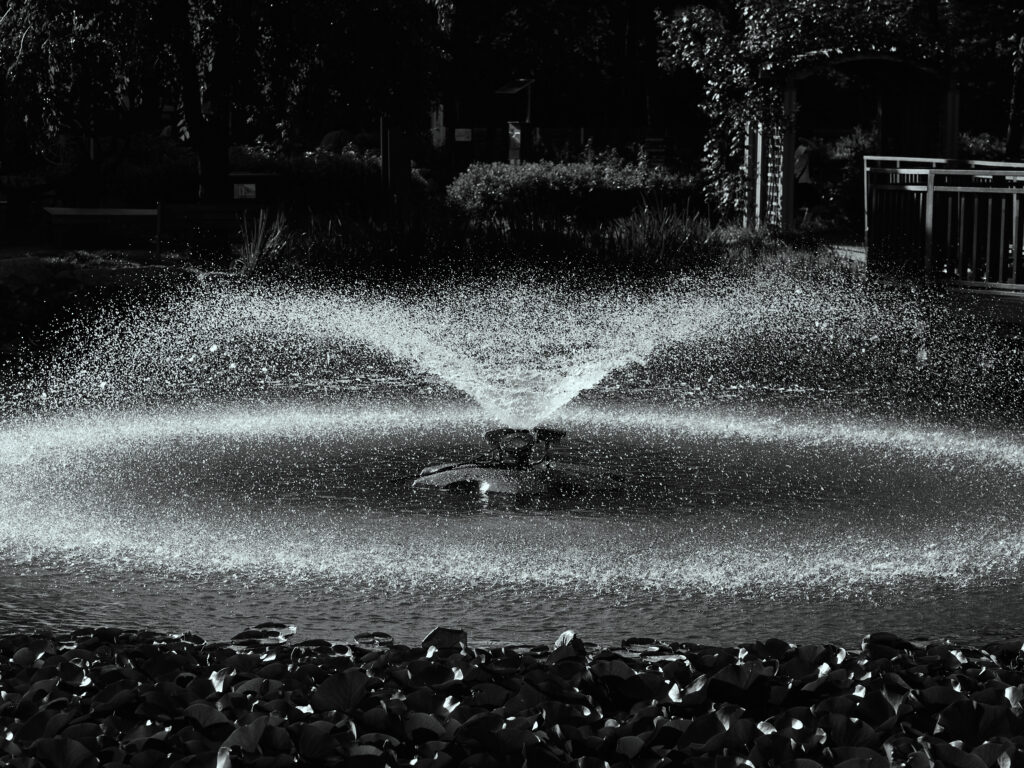 噴水のモノクロ写真