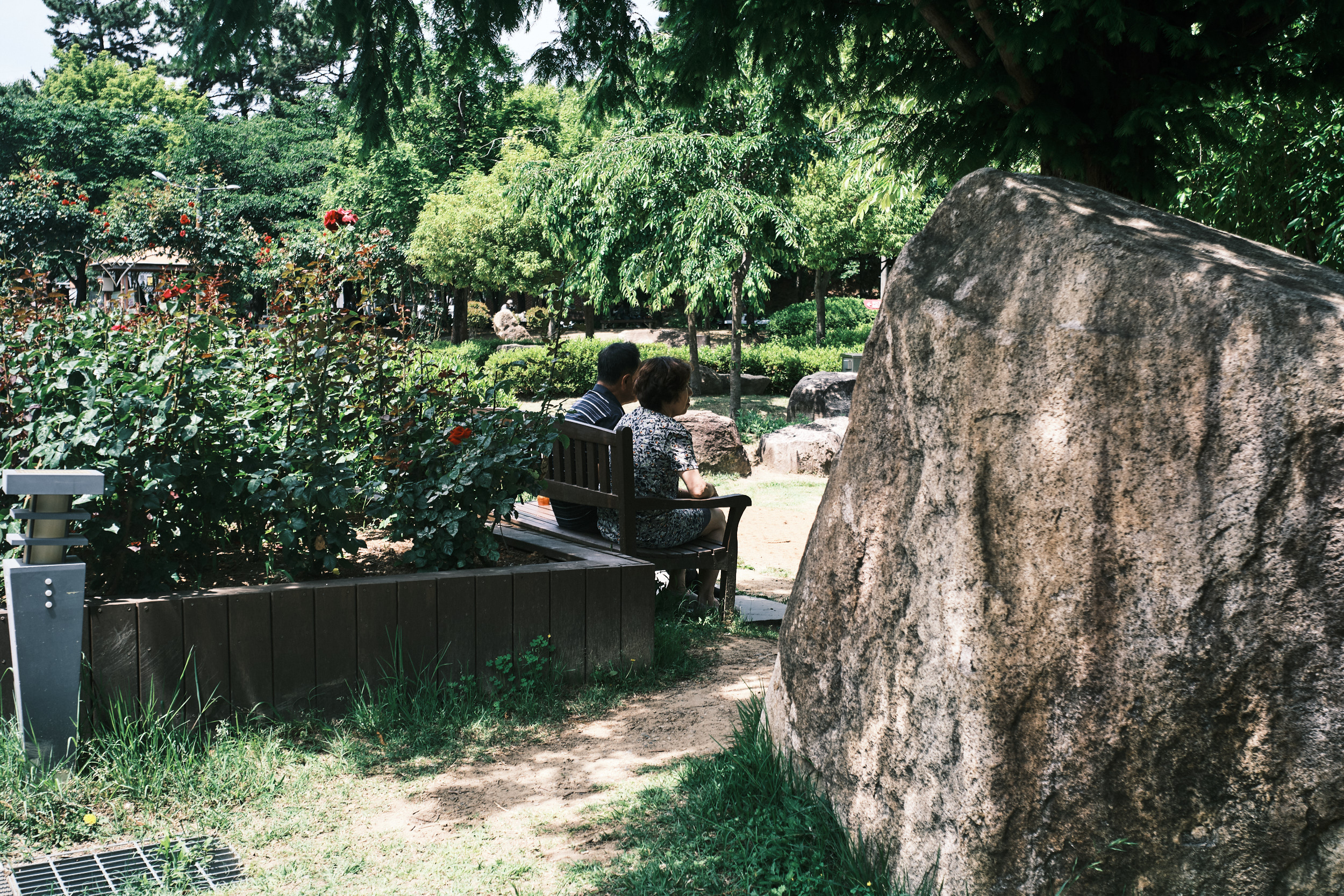韓国の公園のベンチに座っていたシニア夫婦